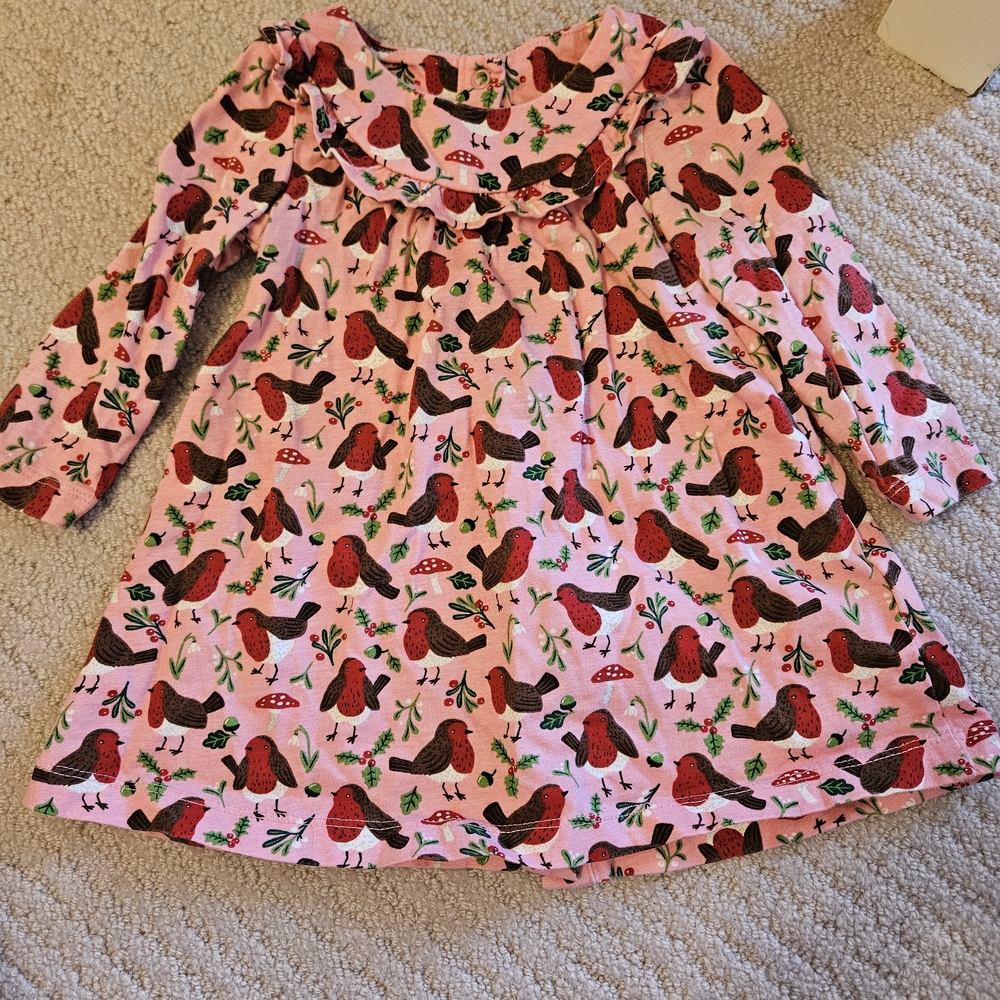 Baby Boden Pink Dress with Bird and Berry Print